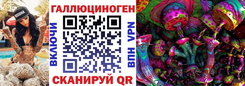 Псилоцибиновые грибы GOLDEN TEACHER  где продают наркотики  Выборг 