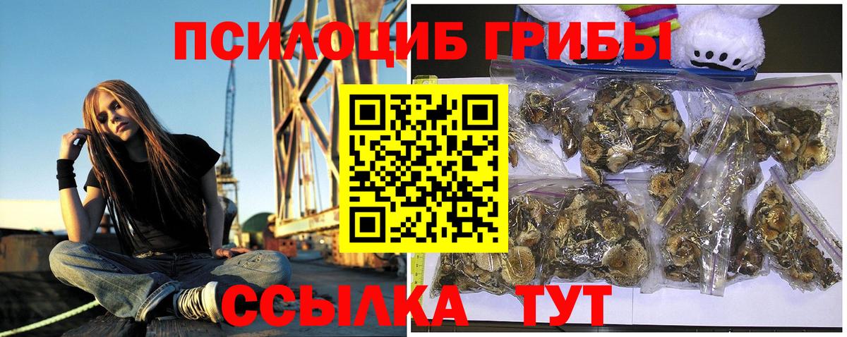 Галлюциногенные грибы прущие грибы Выборг